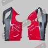 Reducción personalizada de carbonocarenados para escape Akrapovic - Ducati Panigale V4 2018 / 2024