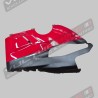 Reducción personalizada de carbonocarenados para escape Akrapovic - Ducati Panigale V4 2018 / 2024