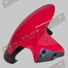 Parafango anteriore in carbonio linea personalizzata per Ducati Panigale e Streetfighter V2