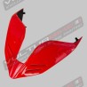 Composite tail in red painted - Ducati Panigale V4 / Streetfighter V4