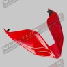 Cola compuesta pintada de rojo - Ducati Panigale V4 / Streetfighter V4