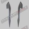 Fianchetti in carbonio per posteriore Ducati Multistrada V4 RS