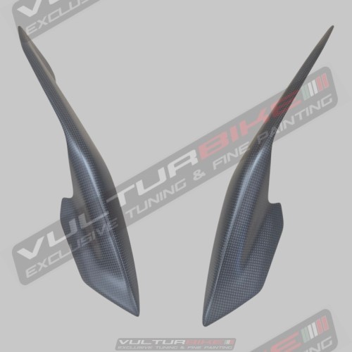 Panneaux latéraux en fibre de carbone pour l’arrière Ducati Multistrada V4 RS
