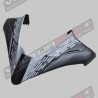 Parabrisas de carbono personalizado para Ducati multistrada V4 Pikes Peak 2025 / 2026