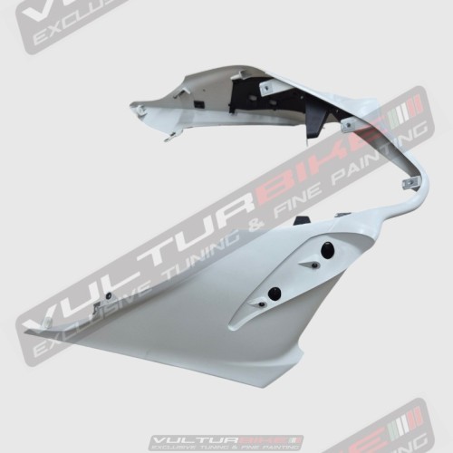 Kompletter Bausatz für Streckenverkleidungen in der Rohversion – Ducati Panigale V4 / V4S