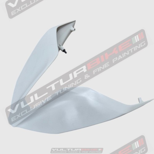 Version complète carénages piste brute - Ducati Panigale V4 / V4S