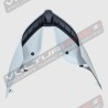 Version complète carénages piste brute - Ducati Panigale V4 / V4S
