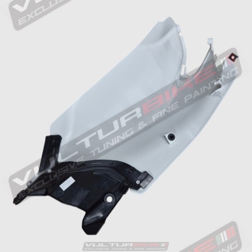 Kit completo carenados pista versión raw - Ducati Panigale V4 / V4S