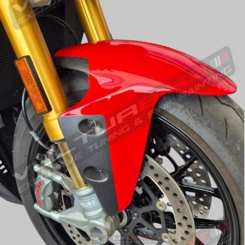 Ligne personnalisée en aile avant en carbone pour Ducati Panigale et Streetfighter V2
