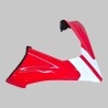 GP / Pikes Peak Style Painted Carbon Front Windshield – Ducati Multistrada V4 (2021-2026)