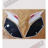 Stickers kit exclusive design - Ducati Panigale 899/1199/959/1299s 
