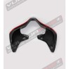 Tail Carbon Road Version Exclusive - Ducati Panigale V2- V4 Streetfighter V2-V4