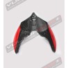 Heck Carbon Rennradversion exklusiv - Ducati Panigale V2- V4 Streetfighter V2-V4