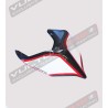 Tail Carbon Road Version Exclusive - Ducati Panigale V2- V4 Streetfighter V2-V4