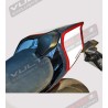 Tail Carbon Road Version Exclusive - Ducati Panigale V2- V4 Streetfighter V2-V4