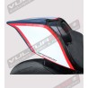 Tail Carbon Road Version Exclusive - Ducati Panigale V2- V4 Streetfighter V2-V4