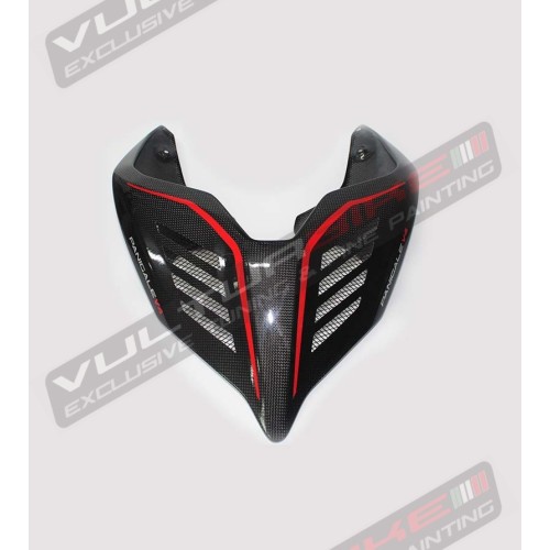 Queue en carbone foncé - Ducati Panigale V4 / V4S / V4R
