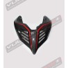 Carbon dark tail - Ducati Panigale V4/ V4S / V4R