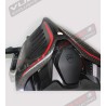 Cola de carbono oscuro - Ducati Panigale V4 / V4S / V4R