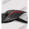 Codino in carbonio dark - Ducati Panigale V4 / V4S / V4R