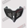 Queue en carbone foncé - Ducati Panigale V4 / V4S / V4R