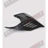 Carbon dark tail - Ducati Panigale V4/ V4S / V4R