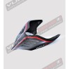 Carbon dark tail - Ducati Panigale V4/ V4S / V4R