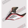 Carbon tail Special Design - Ducati Panigale V2 - V4 and Streetfighter V2 - V4