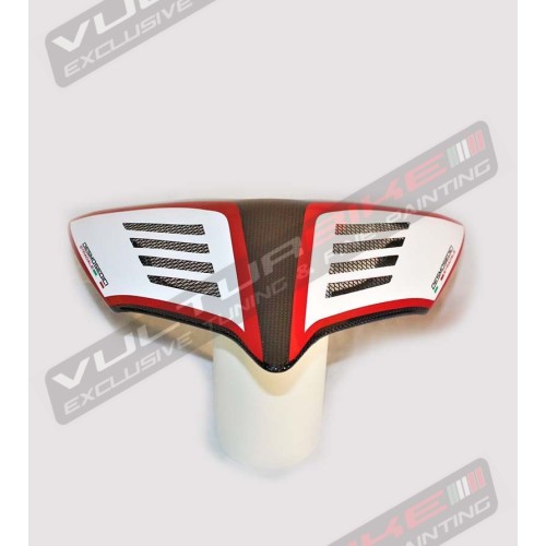 Codino in carbonio Special Design - Ducati Panigale V2 - V4 e Streetfighter V2 - V4