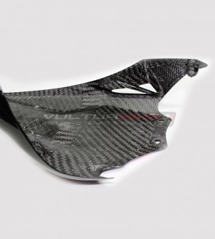 Guardabarros trasero especial de carbono - Ducati Panigale 1199/1299 / V2 2020