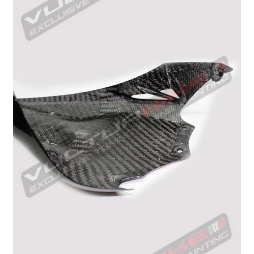 Carbon rear fender Special - Ducati Panigale 1199/1299 / / V2 2020