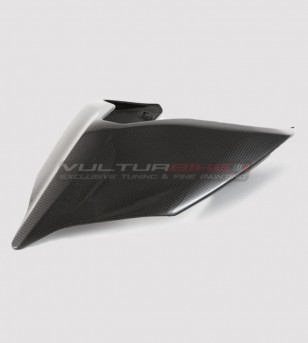 Carbon tail - Ducati Panigale V2 - V4 Streetfighter V2-V4