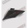 Carbon tail - Ducati Panigale V2 - V4 Streetfighter V2-V4