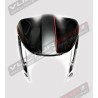 Parafango anteriore in carbonio - Ducati XDiavel