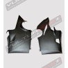 Unteres Carbon Verkleidungsset, rechts und links - Ducati Panigale V4 / V4S V4R