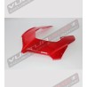 Rote Kuppel - Ducati Panigale V4 / V2 2020