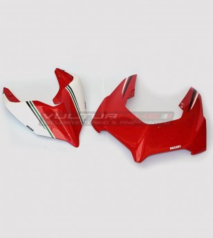 Ducati Panigale V4R Complete Dressing Kit - Restyling V4 - V4S