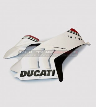 Ducati Panigale V4R Komplett-Dressing-Kit - Restyling V4 - V4S