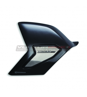 Carbon and titanium swingarm cover - Ducati Panigale V4