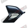 Cover forcellone in carbonio e titanio - Ducati Panigale V4 