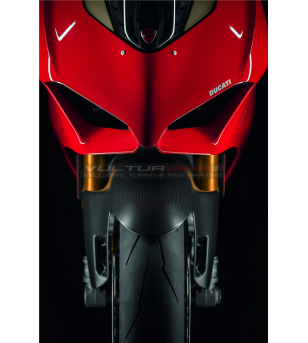 Carbon front fender - Ducati Panigale V2 / V4 / Streetfighter V4