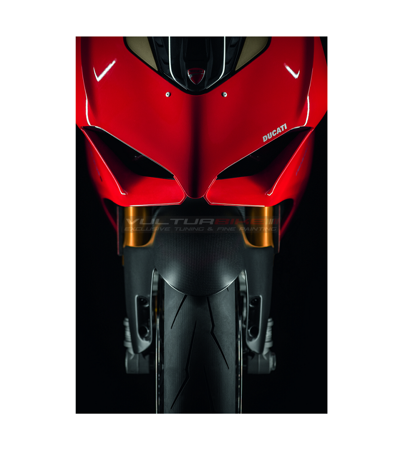 Carbon front fender - Ducati Panigale V2 / V4 / Streetfighter V4
