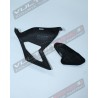 Carbon- und Titan-Schwinge-Abdeckung - Ducati Panigale V4 
