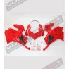 Upper fairings kit Ducati Panigale V4R New V4 2020 - Restyling Panigale V4 - V4S (2018/19) 