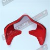Custom Heck - Ducati Panigale V2 V4 - Streetfighter V2 V4 