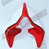 Codone personalizzato - Ducati Panigale V2 V4 - Streetfighter V2 V4 