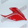 Original red tail - Ducati Panigale V4R 