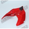 Original red tail - Ducati Panigale V4R 