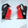 Carene superiori e inferiori - Ducati Panigale V4R Nuova V4 2020 (V4-V4S 2018/19) 