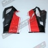 Upper and lower fairings - Ducati Panigale V4R New V4 2020 (V4-V4S 2018/19) 